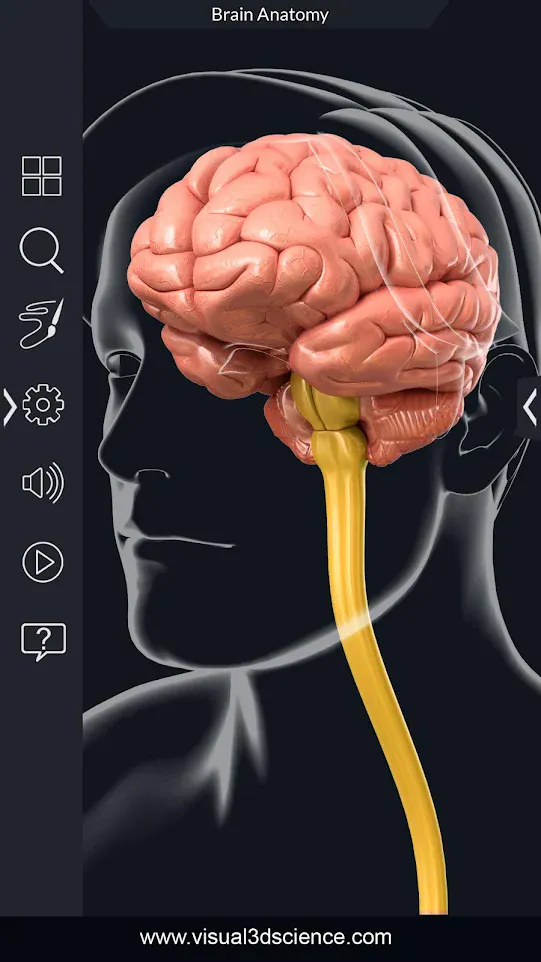 Brain Anatomy Pro. | Indus Appstore | Screenshot