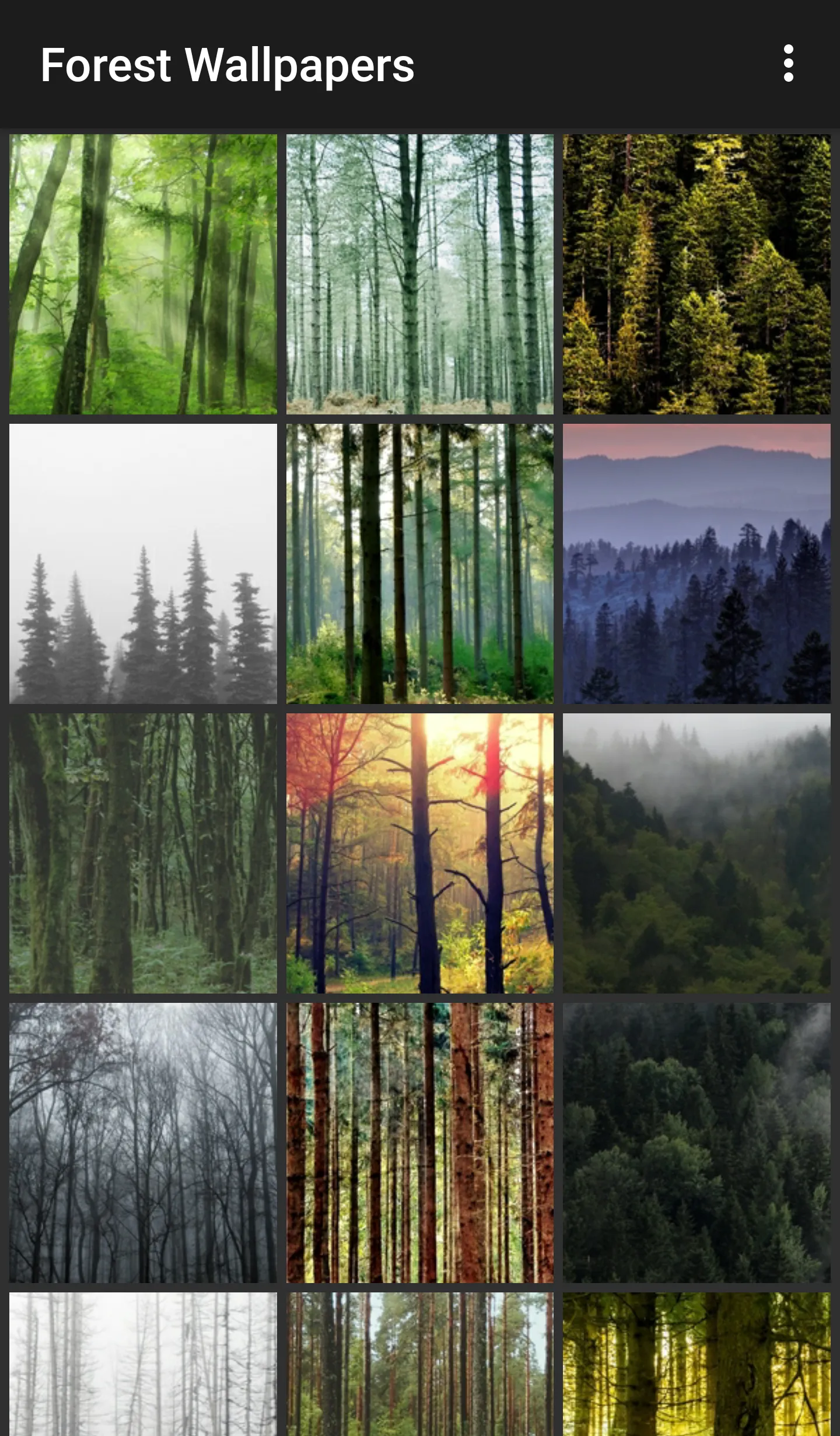 Forest Wallpapers | Indus Appstore | Screenshot