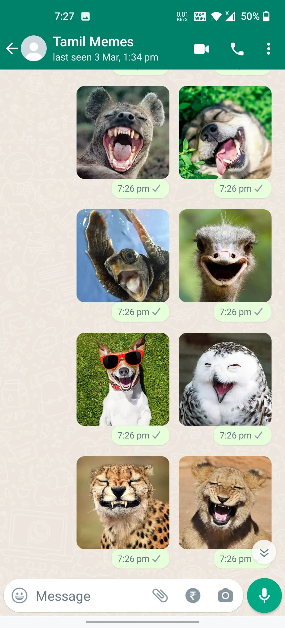 Animals Laughing Stickers | Indus Appstore | Screenshot