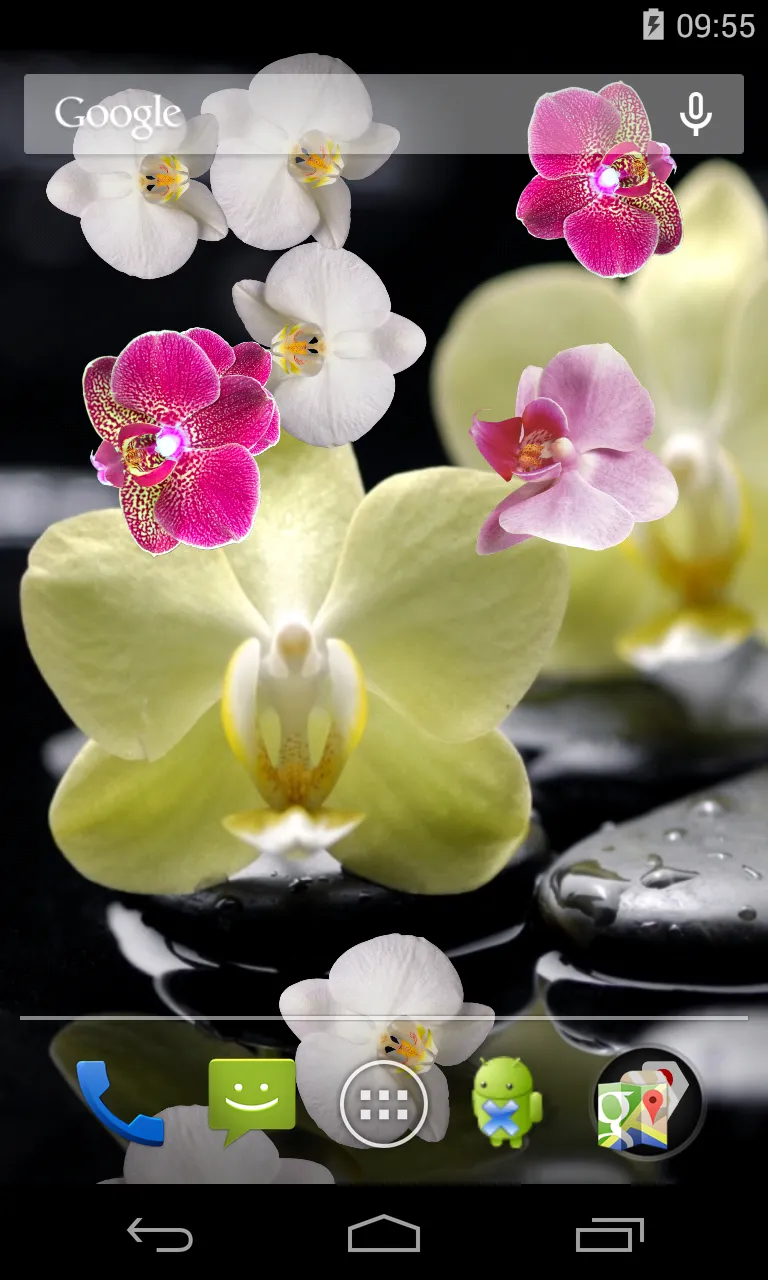 Orchid Live Wallpaper | Indus Appstore | Screenshot