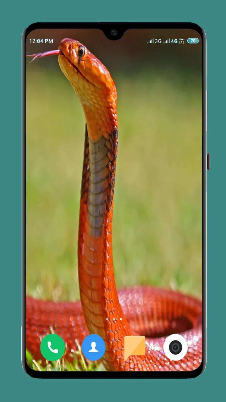 Snake Wallpaper HD | Indus Appstore | Screenshot