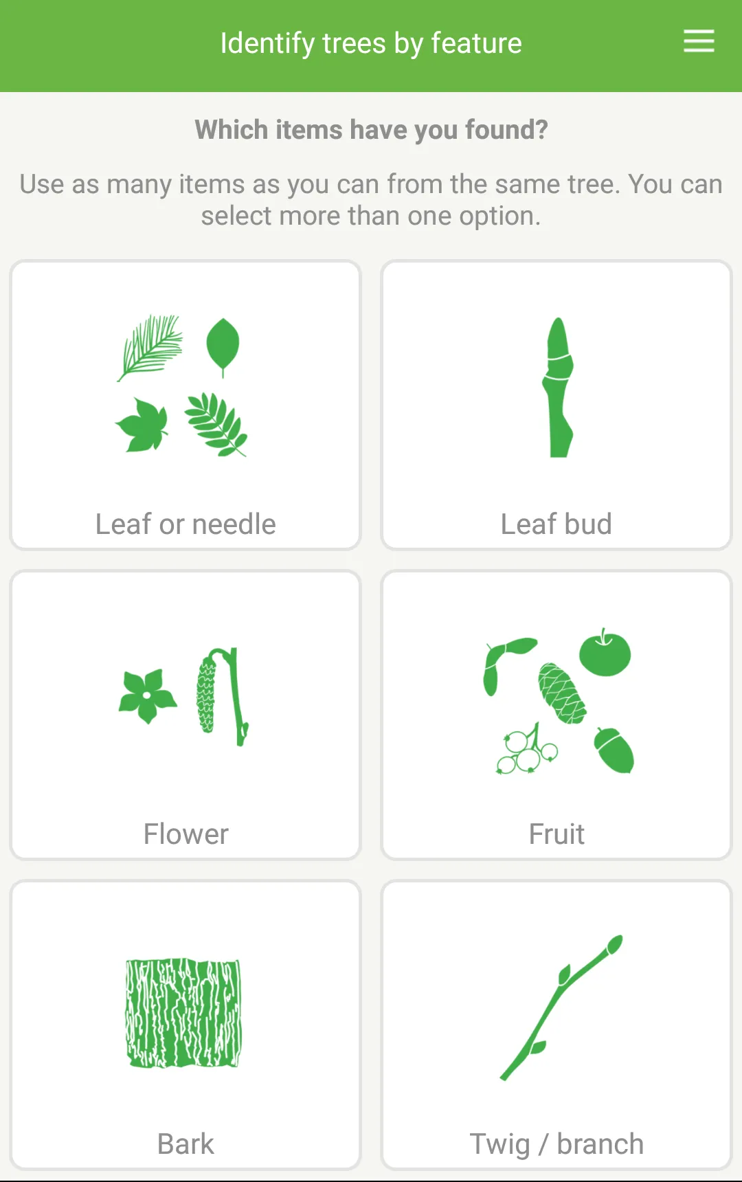 Tree ID - British trees | Indus Appstore | Screenshot