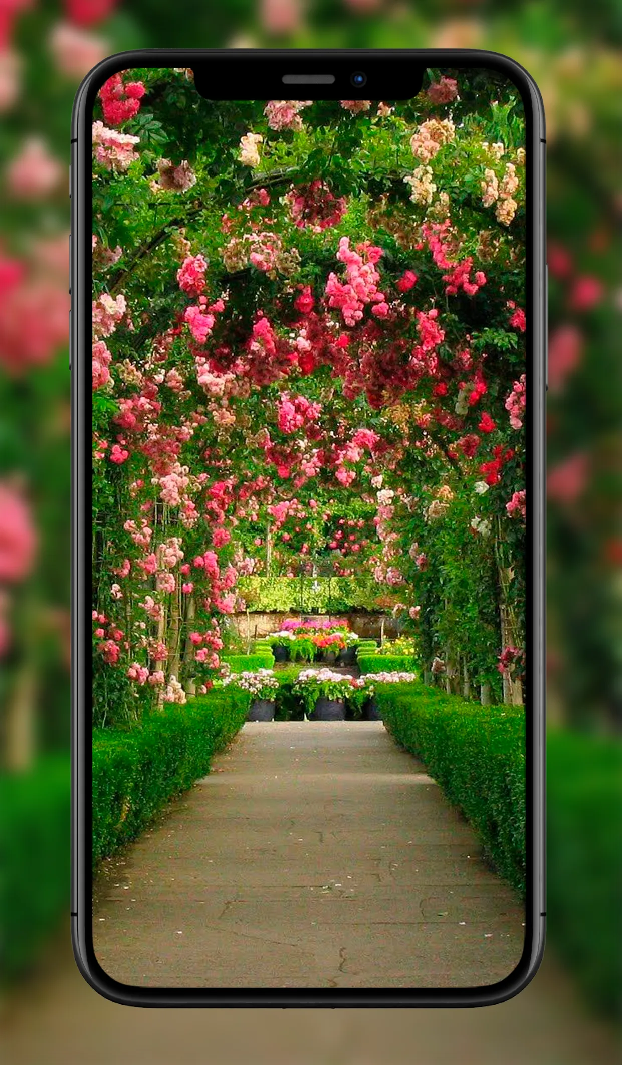 Garden Wallpapers | Indus Appstore | Screenshot