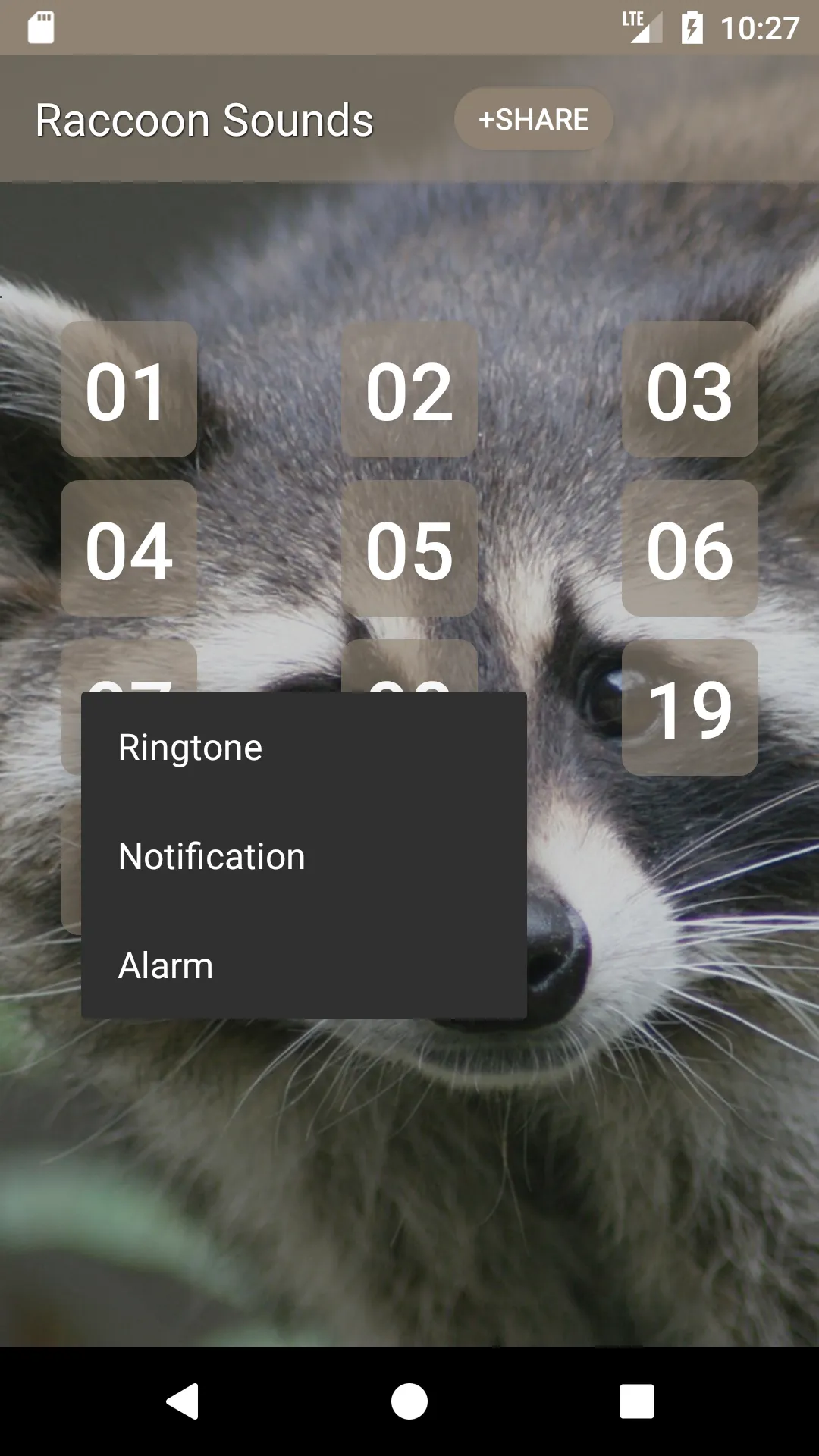 Raccoon Sounds | Indus Appstore | Screenshot