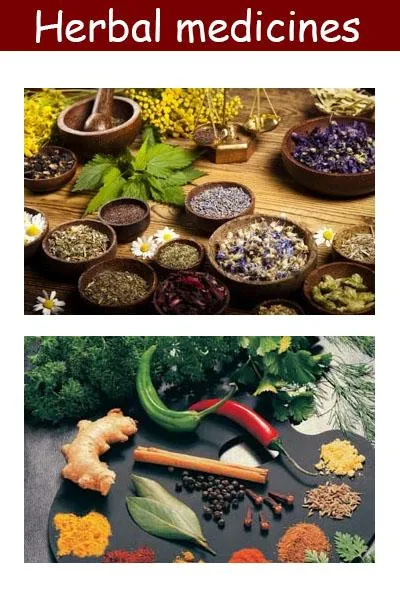 Herbal medicines plant | Indus Appstore | Screenshot