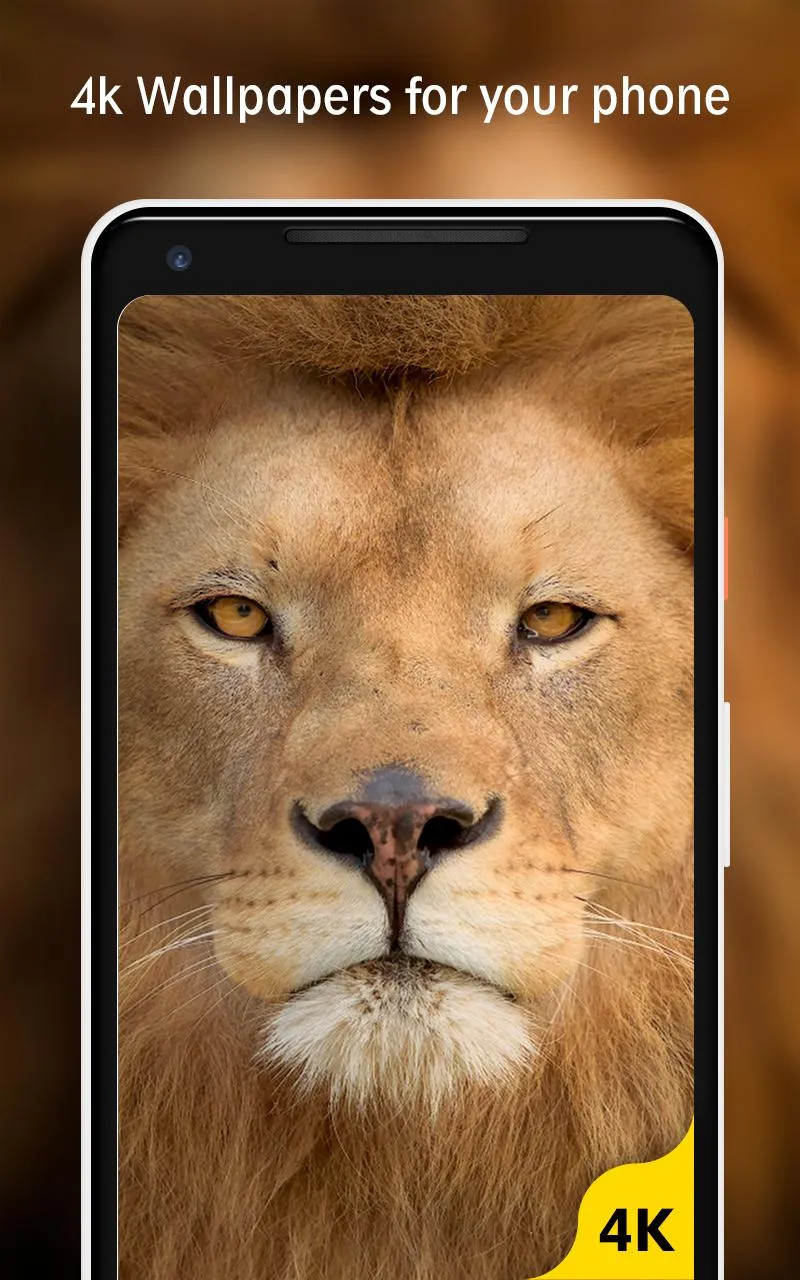 Animals Wallpaper HD | Indus Appstore | Screenshot