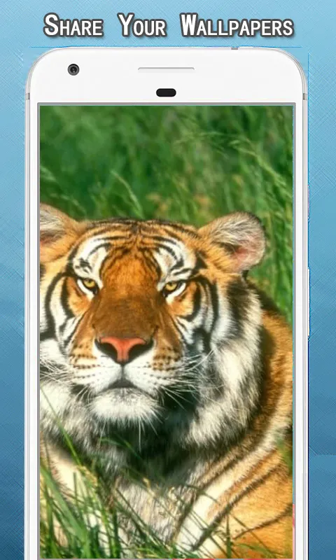 Tiger Wallpapers Hd | Indus Appstore | Screenshot