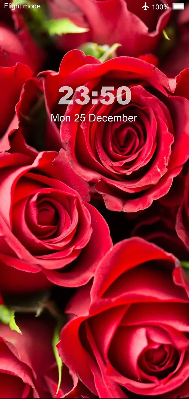 Rose Wallpaper 4K Live | Indus Appstore | Screenshot