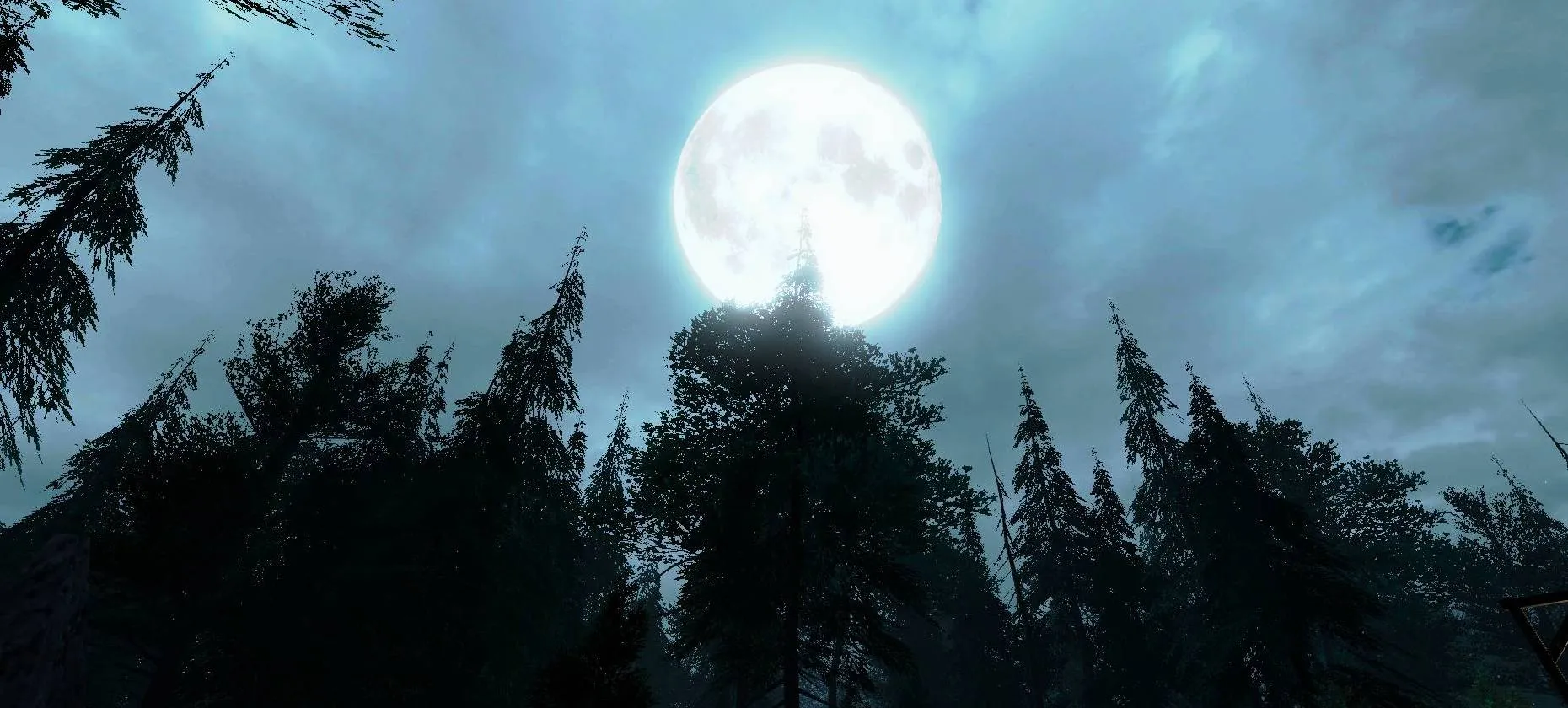 VR Scary Forest | Indus Appstore | Screenshot