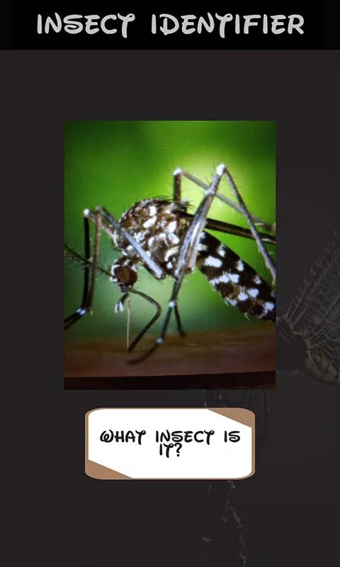 Automatic insect identifier | Indus Appstore | Screenshot