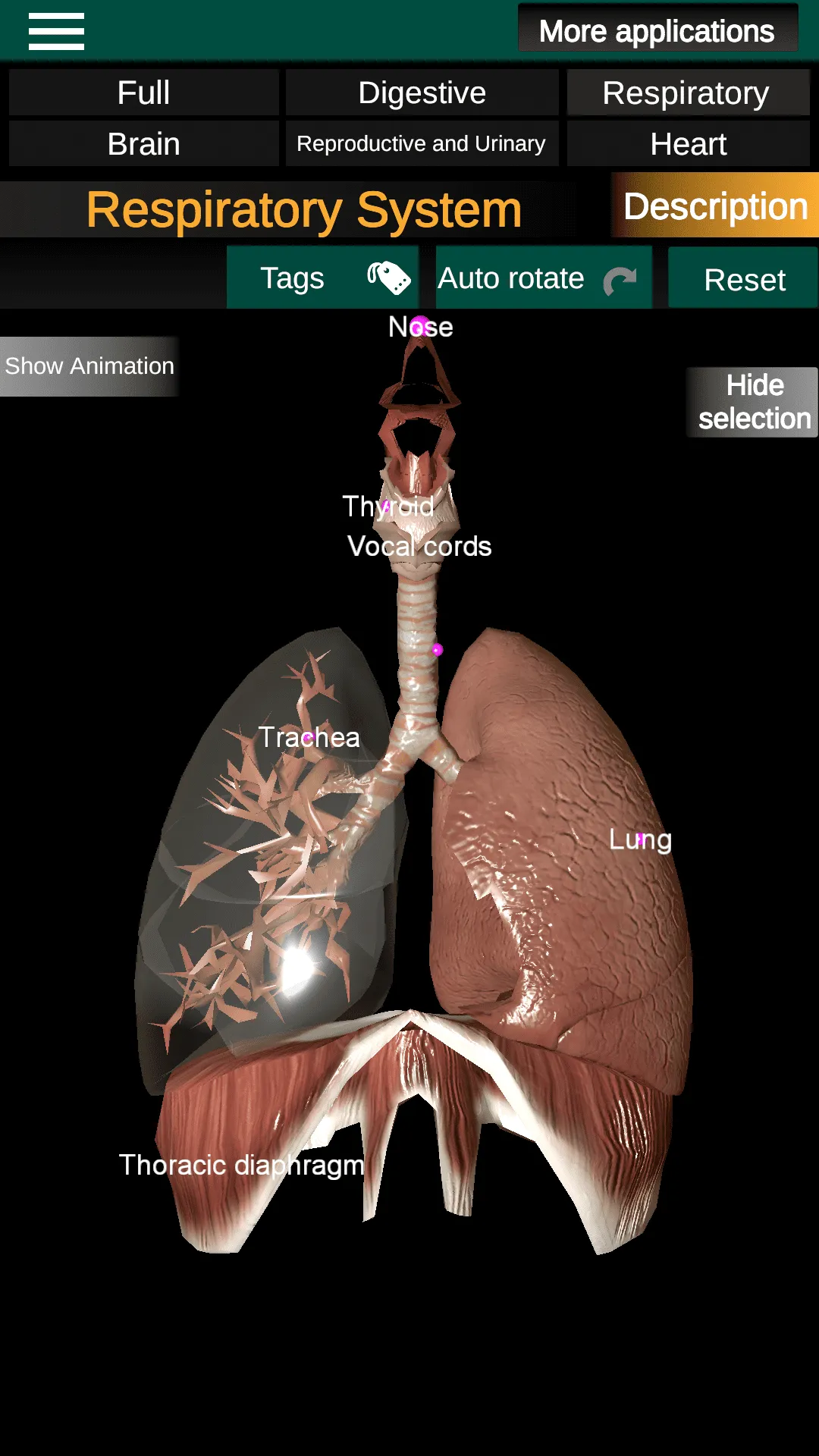 Internal Organs in 3D Anatomy | Indus Appstore | Screenshot