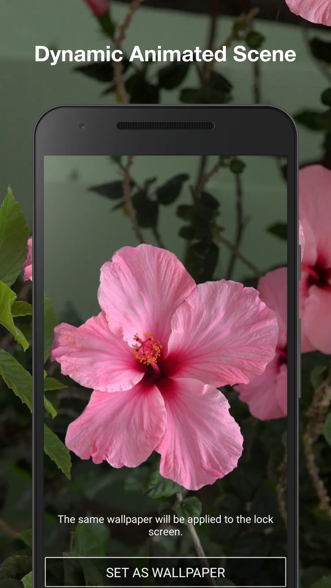 Beautiful Flowers Wallpaper | Indus Appstore | Screenshot