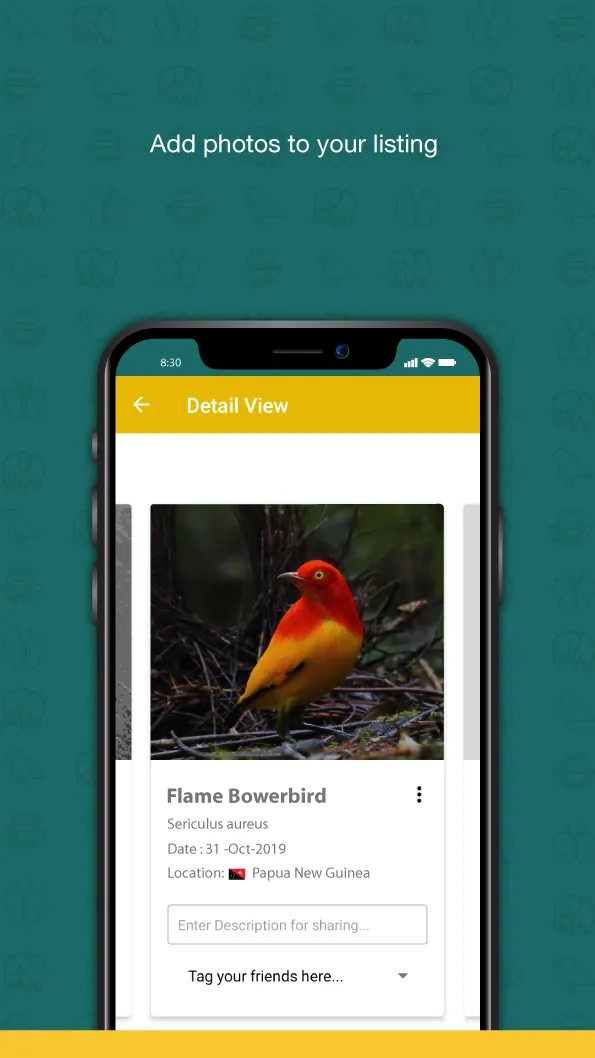 WildLife Memo | Indus Appstore | Screenshot