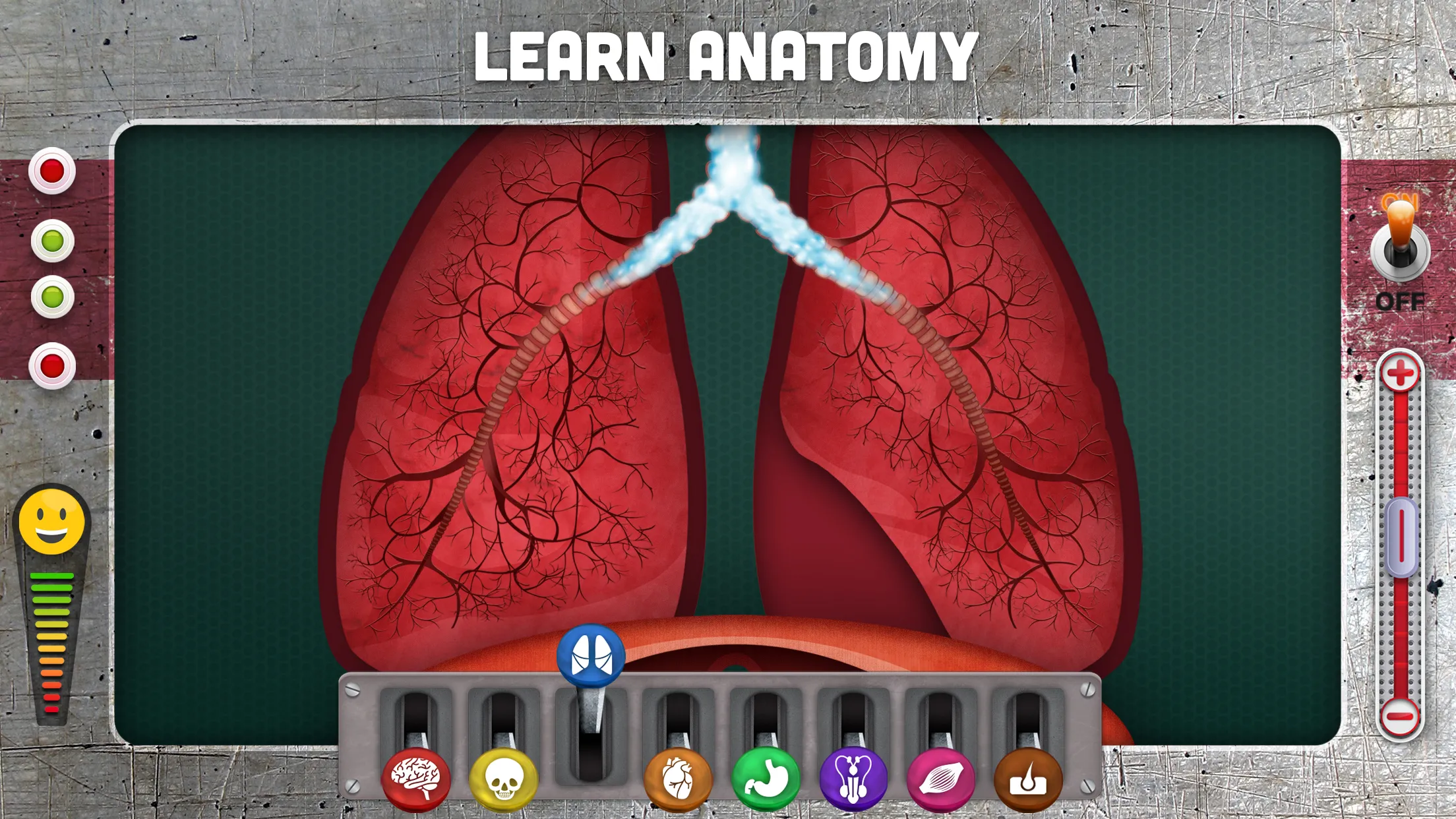 How does The Human Body Work? | Indus Appstore | Screenshot