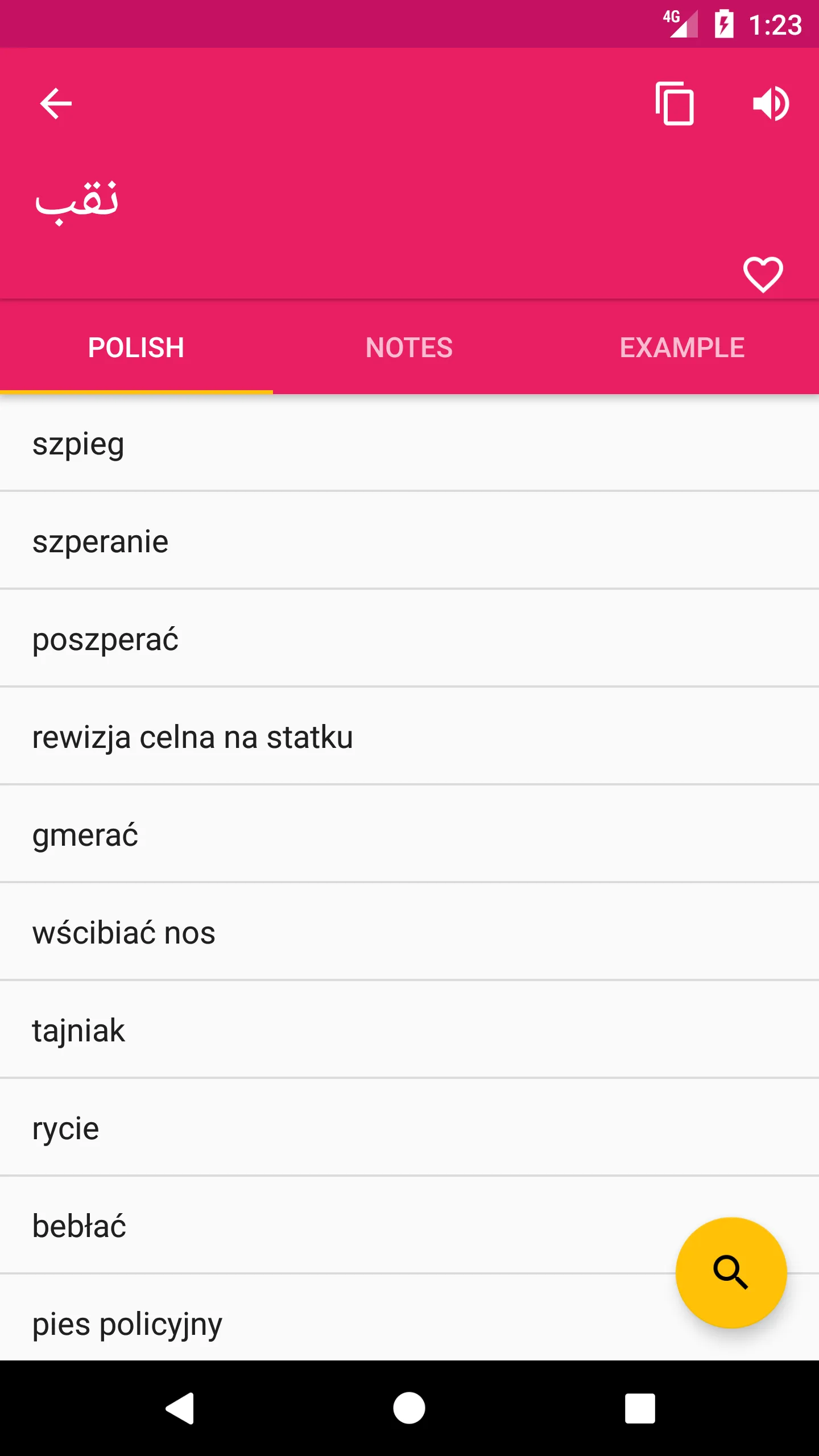 Arabic Polish Dictionary | Indus Appstore | Screenshot