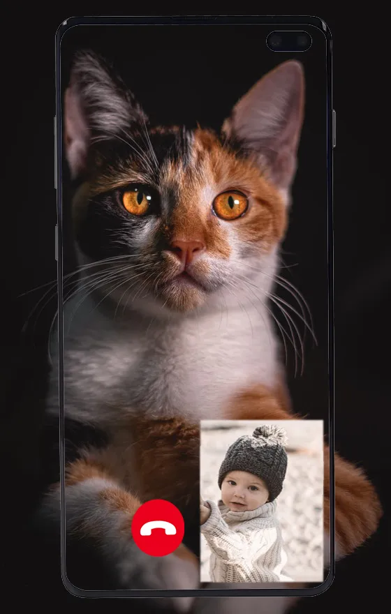 Cat Fake Video Call prank | Indus Appstore | Screenshot