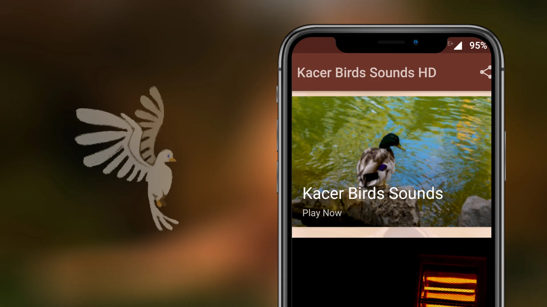 Kacer Birds Sounds | Indus Appstore | Screenshot