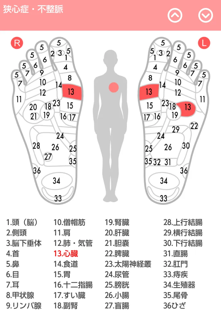 Reflexology chart | Indus Appstore | Screenshot