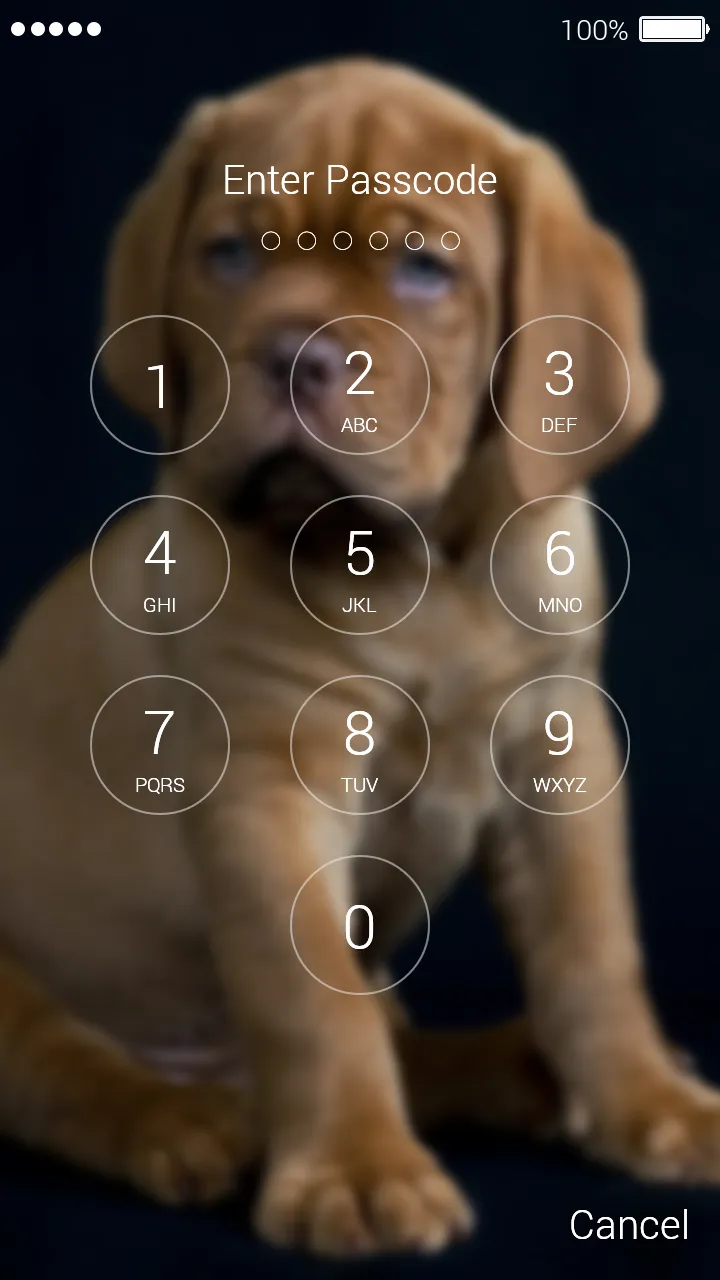 Cute Puppy Lock Screen | Indus Appstore | Screenshot