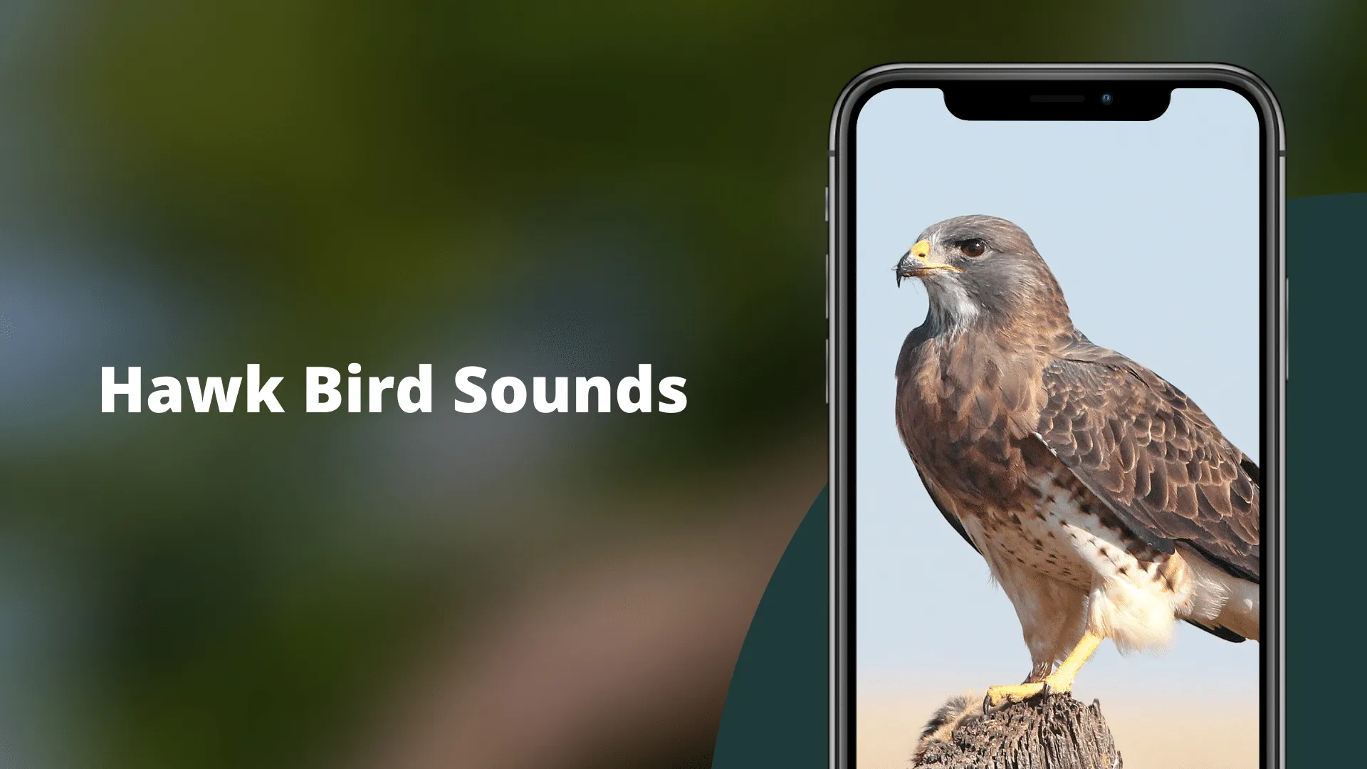 Hawk Sounds | Indus Appstore | Screenshot