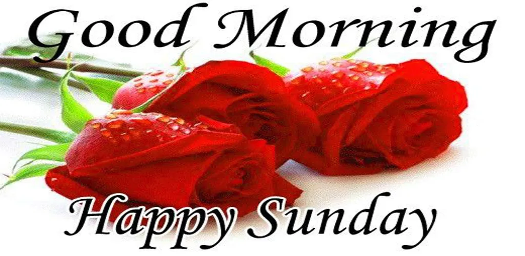 Happy Sunday GIF Greeting. | Indus Appstore | Screenshot