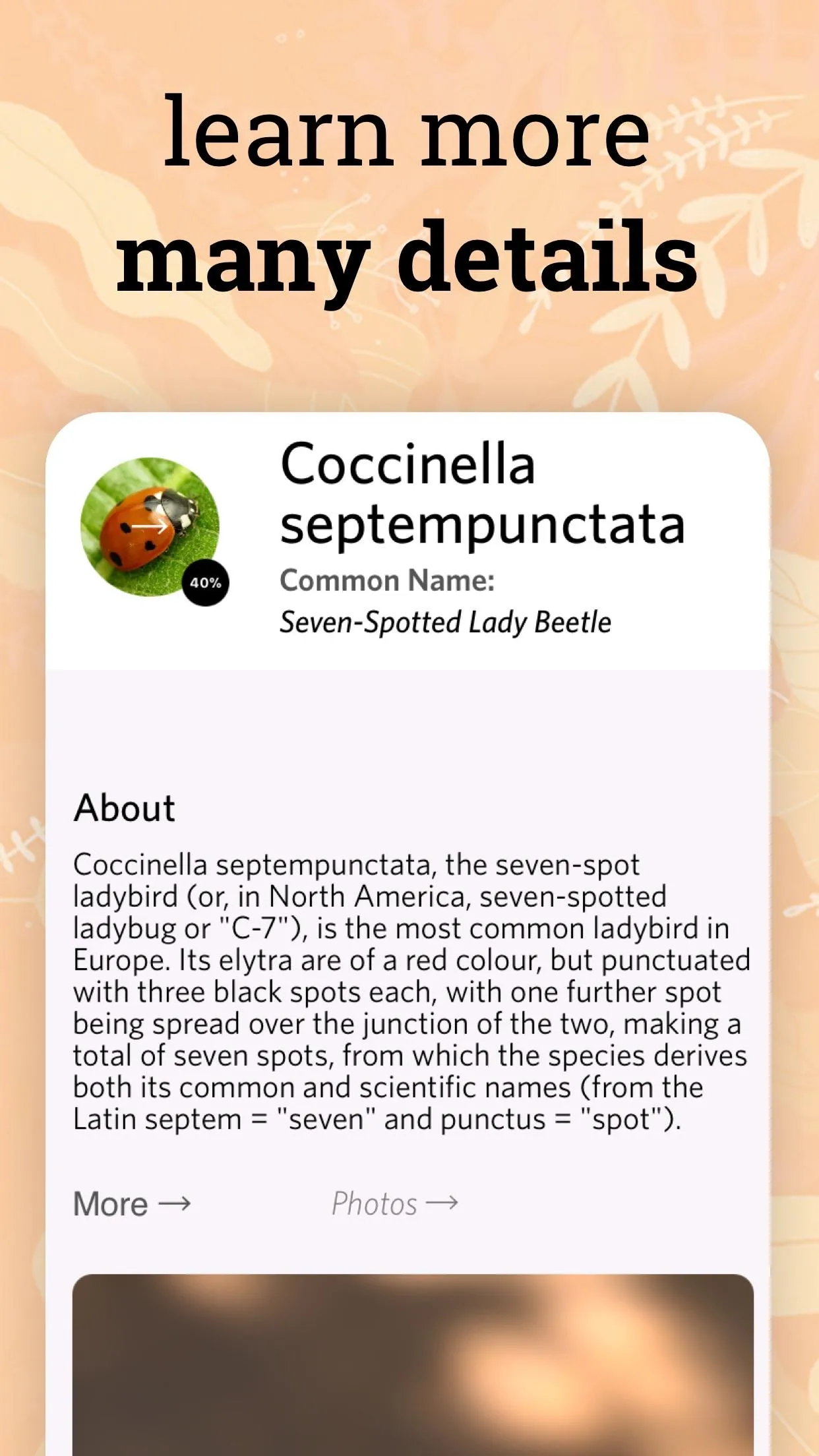 Insect identifier - identity | Indus Appstore | Screenshot