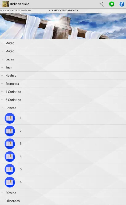 Audio Biblia (Reina Valera) | Indus Appstore | Screenshot