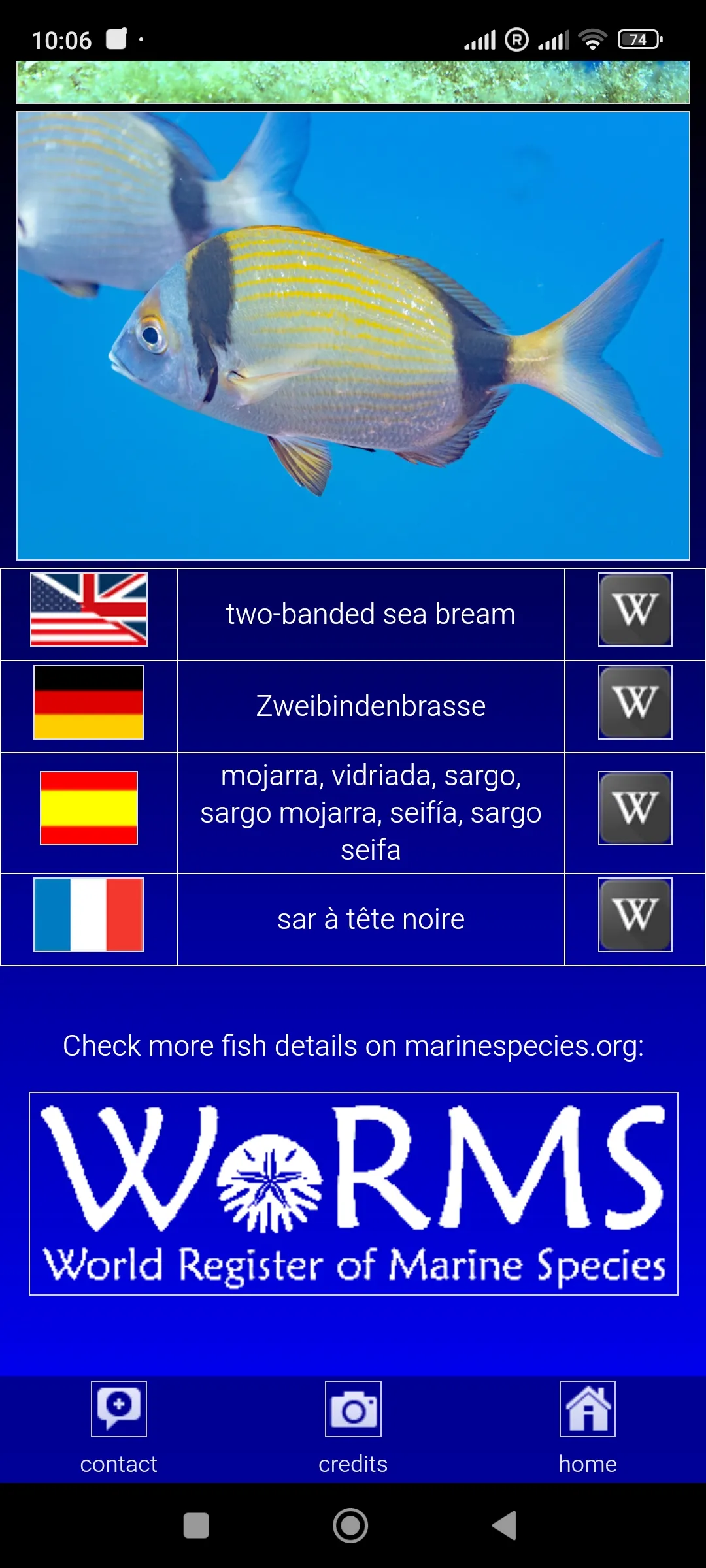 Sea fish of the North Atlantic | Indus Appstore | Screenshot