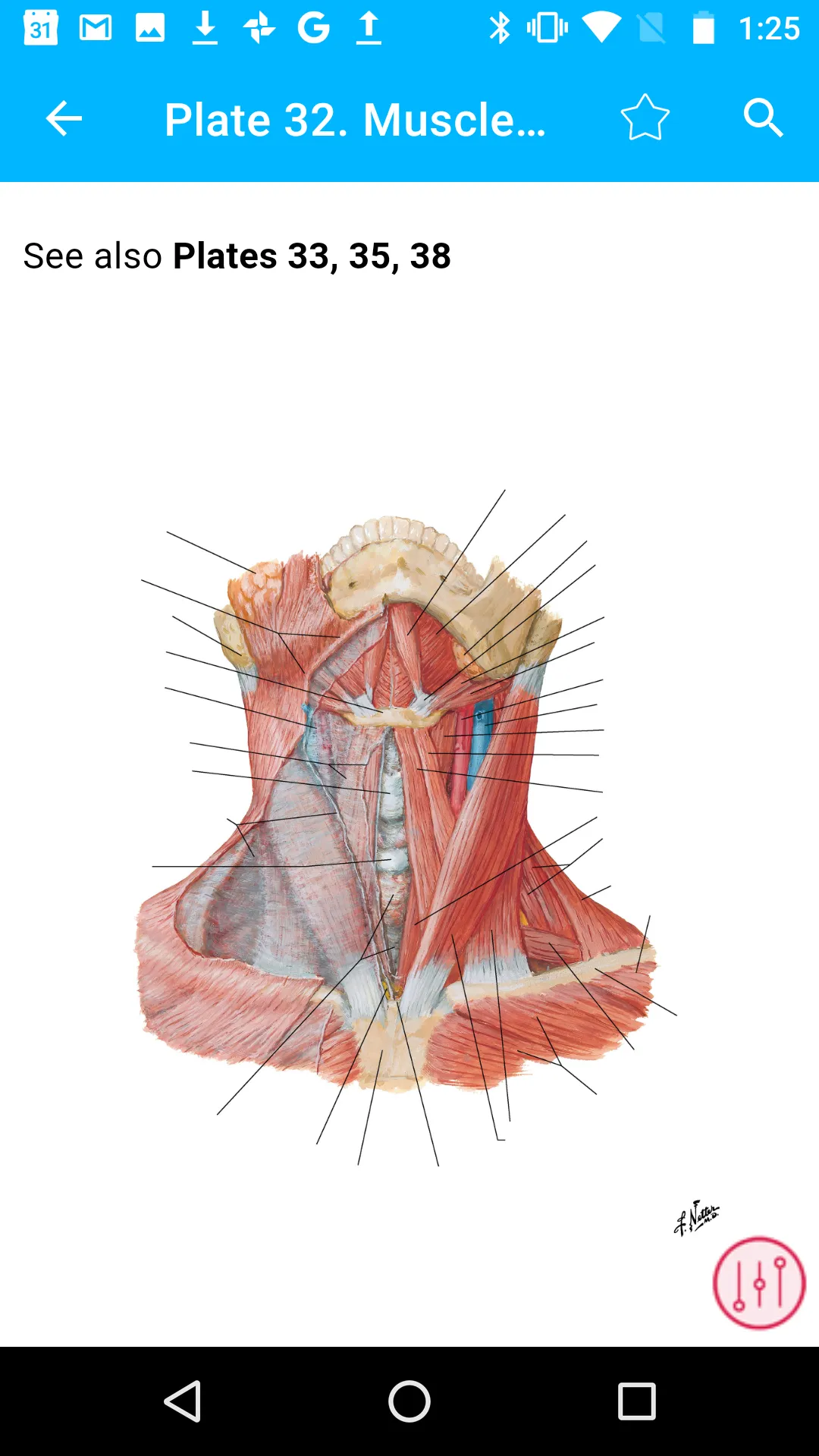 Anatomy Atlas, USMLE, Clinical | Indus Appstore | Screenshot