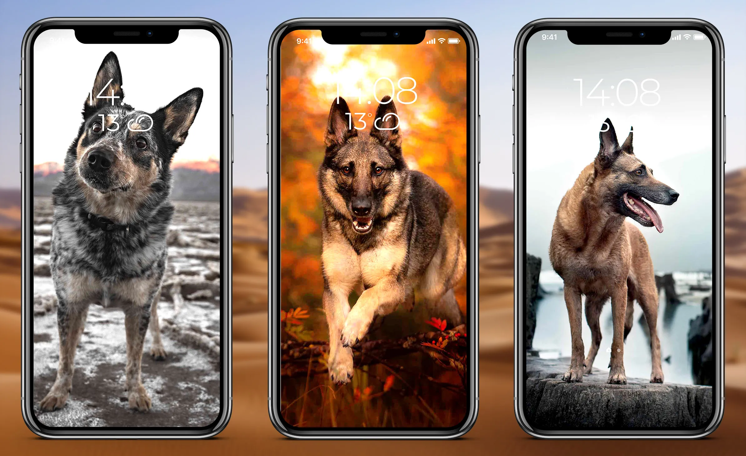 German Shepherd Wallpaper | Indus Appstore | Screenshot