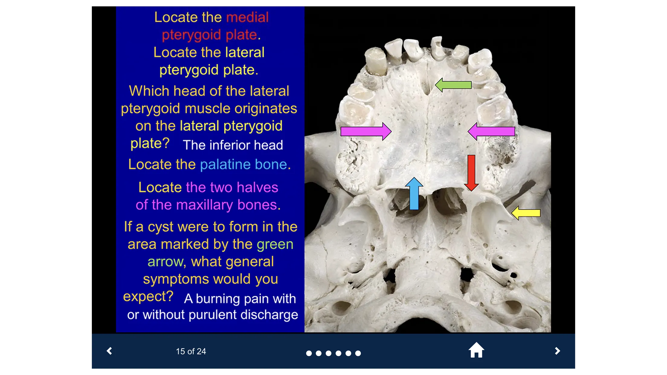 Head & Neck Anatomy-SecondLook | Indus Appstore | Screenshot