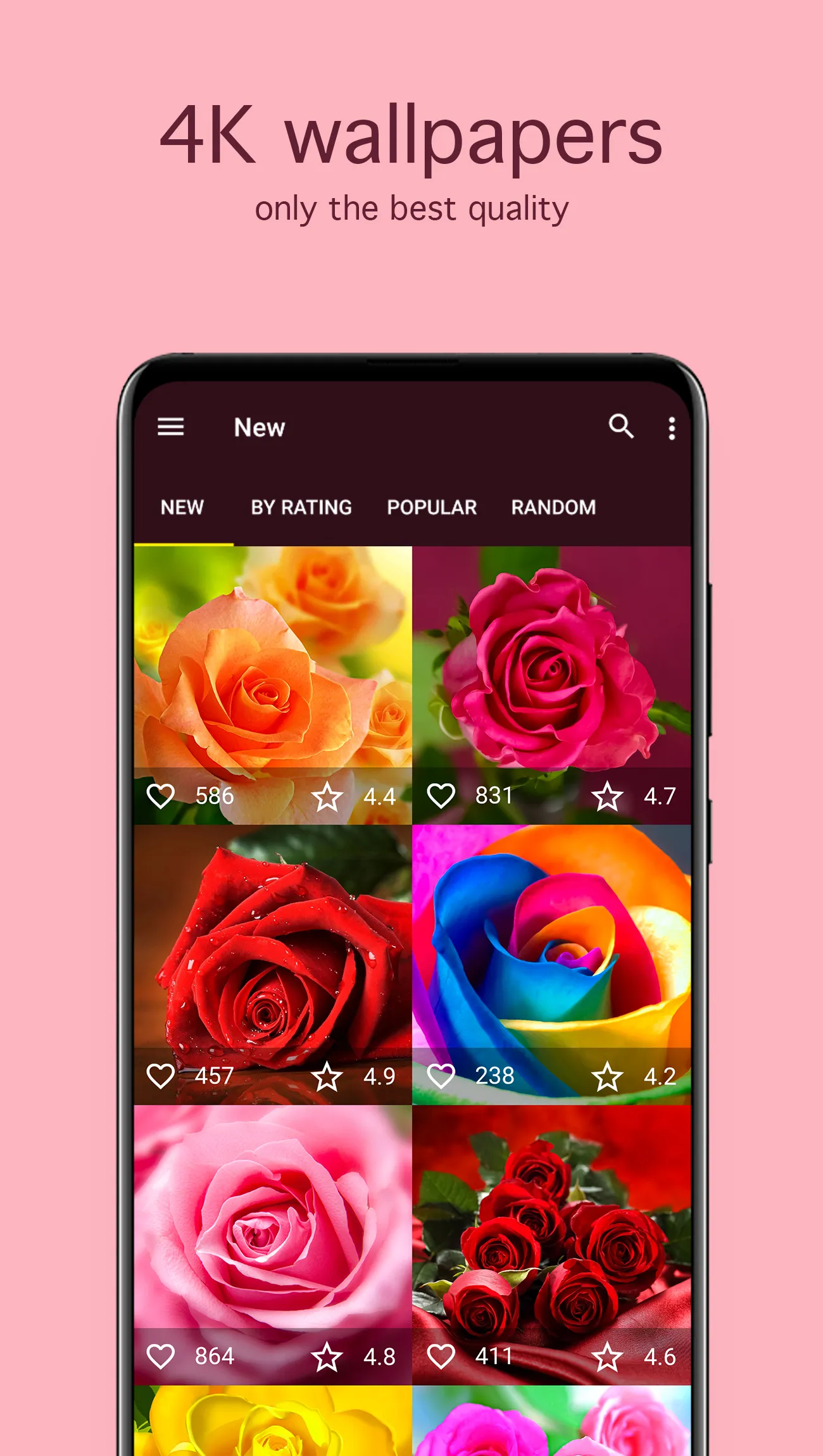 Rose Wallpapers 4K | Indus Appstore | Screenshot