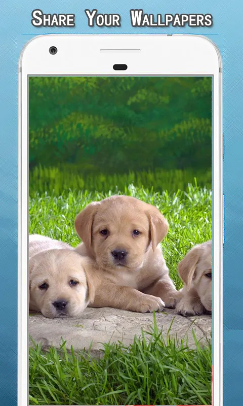 Cute Puppy Dog Wallpapers Hd | Indus Appstore | Screenshot