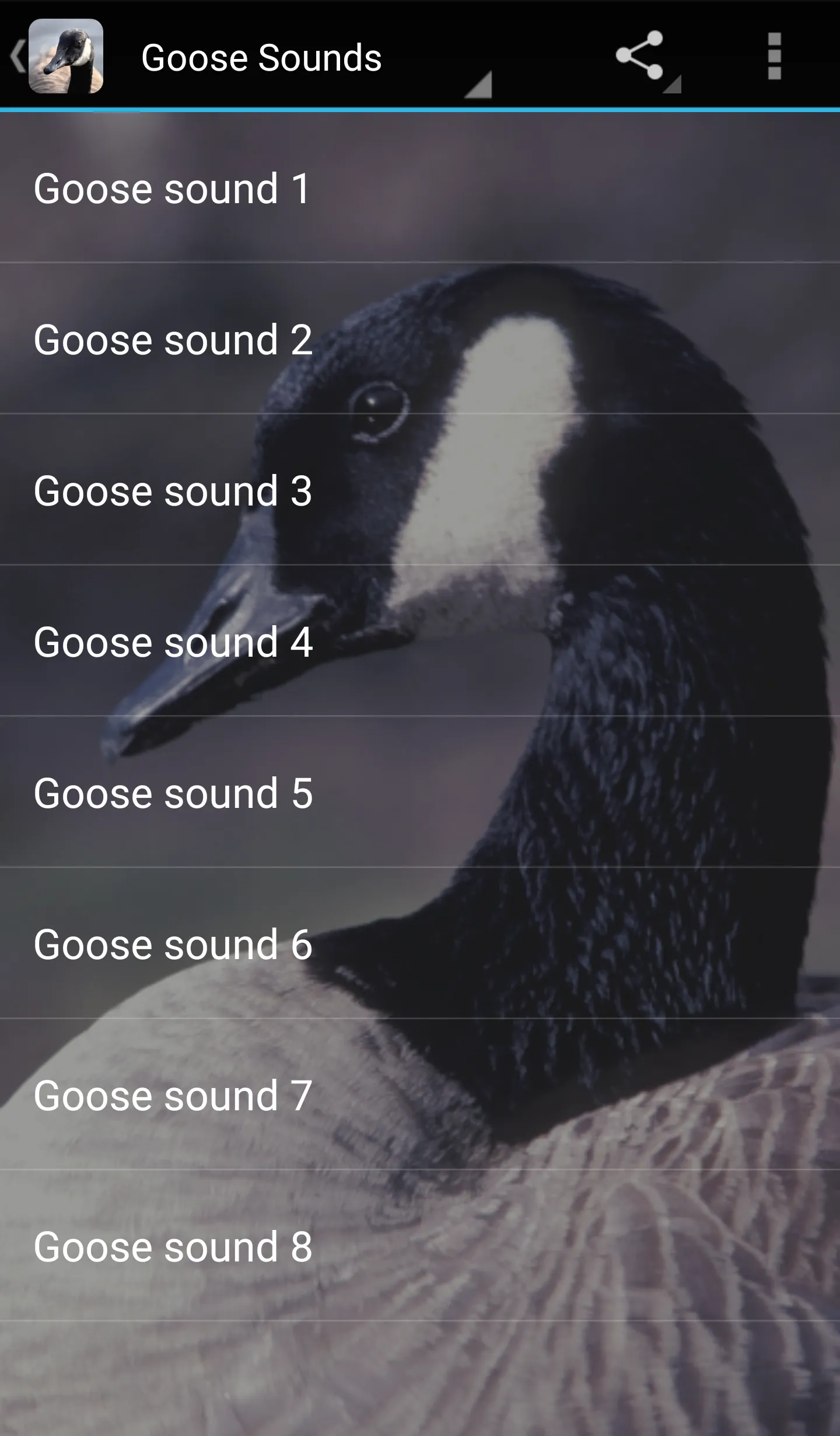 Goose Sounds | Indus Appstore | Screenshot