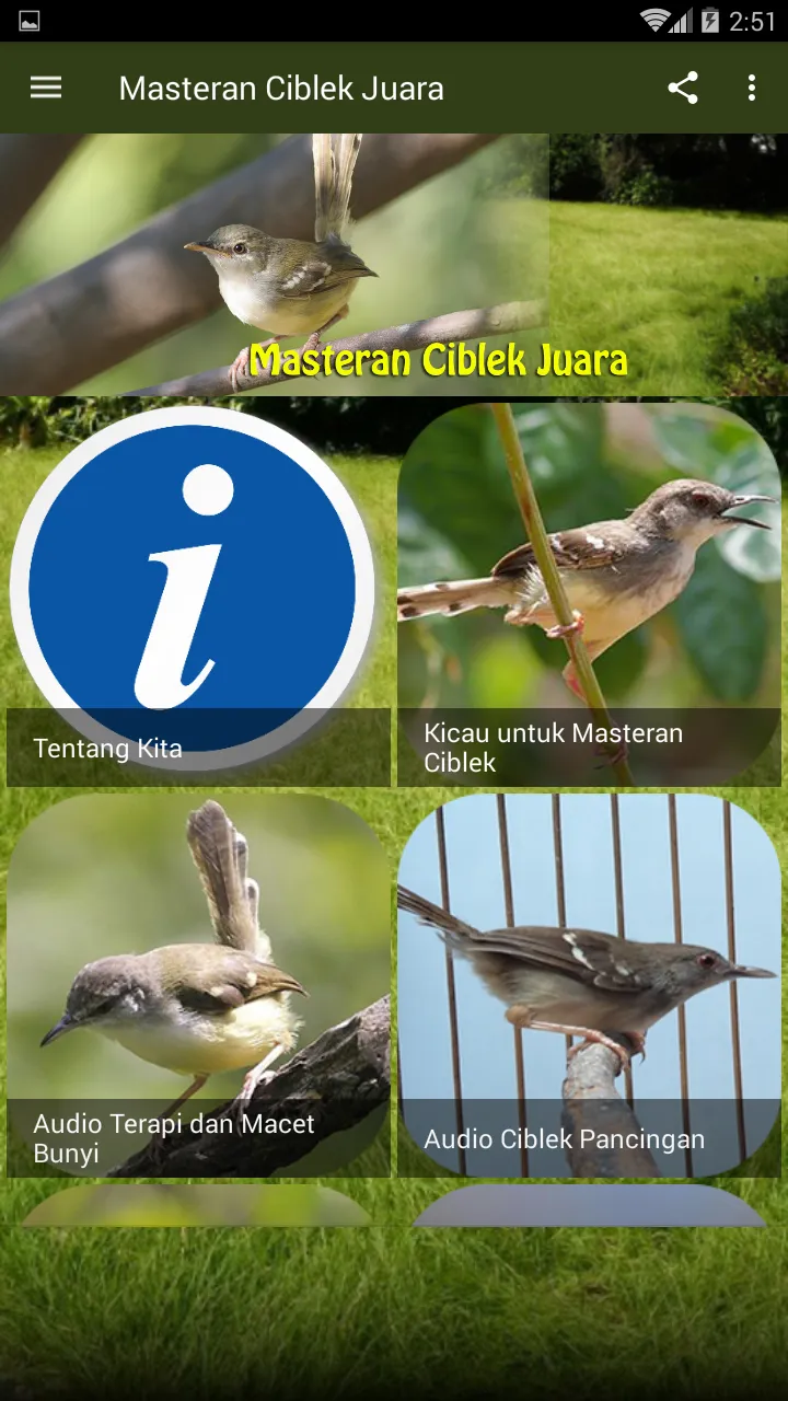 Masteran Kicau Ciblek Juara | Indus Appstore | Screenshot