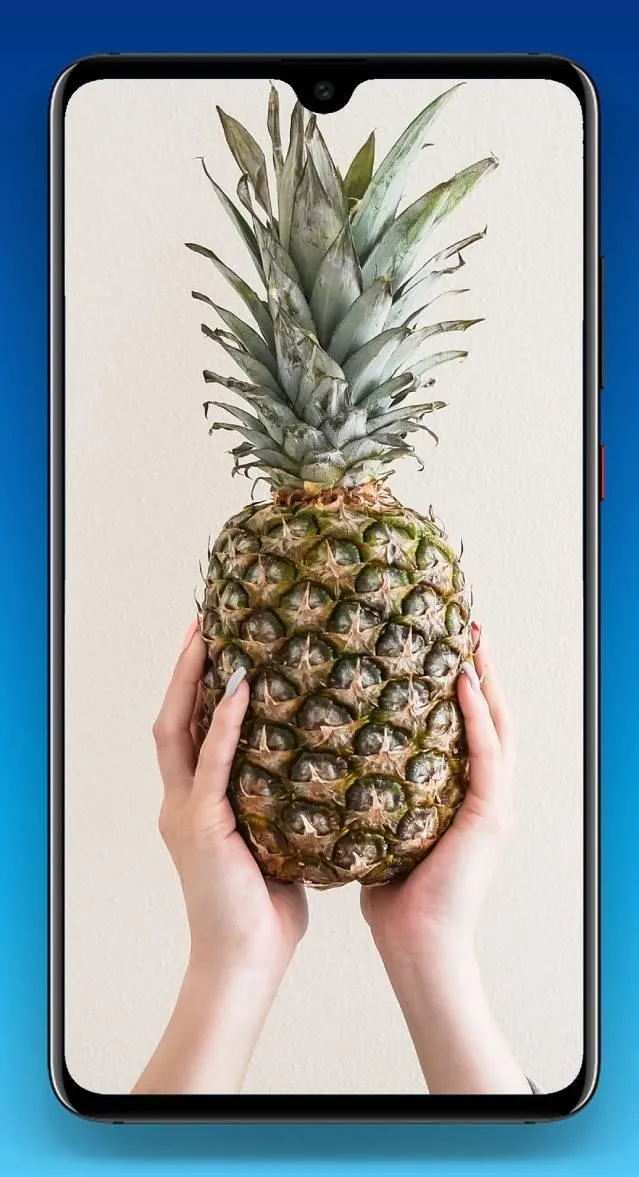 Pineapple Wallpaper 4K | Indus Appstore | Screenshot