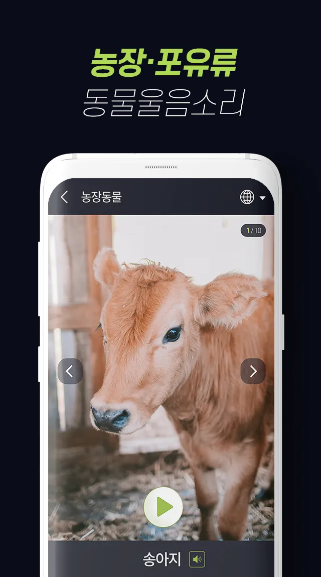 Animalsounds–sounds and photos | Indus Appstore | Screenshot