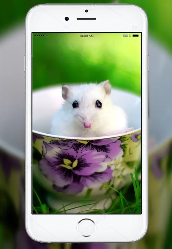 Cute Hamster Wallpaper | Indus Appstore | Screenshot