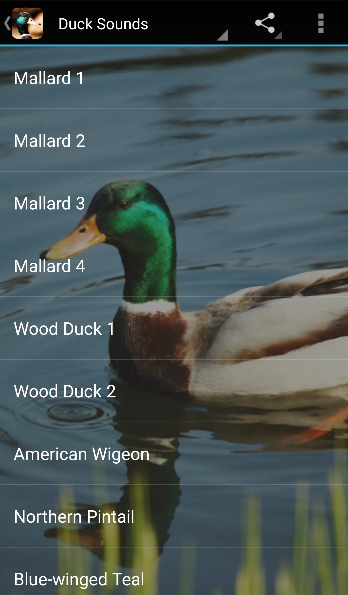 Duck Sounds | Indus Appstore | Screenshot