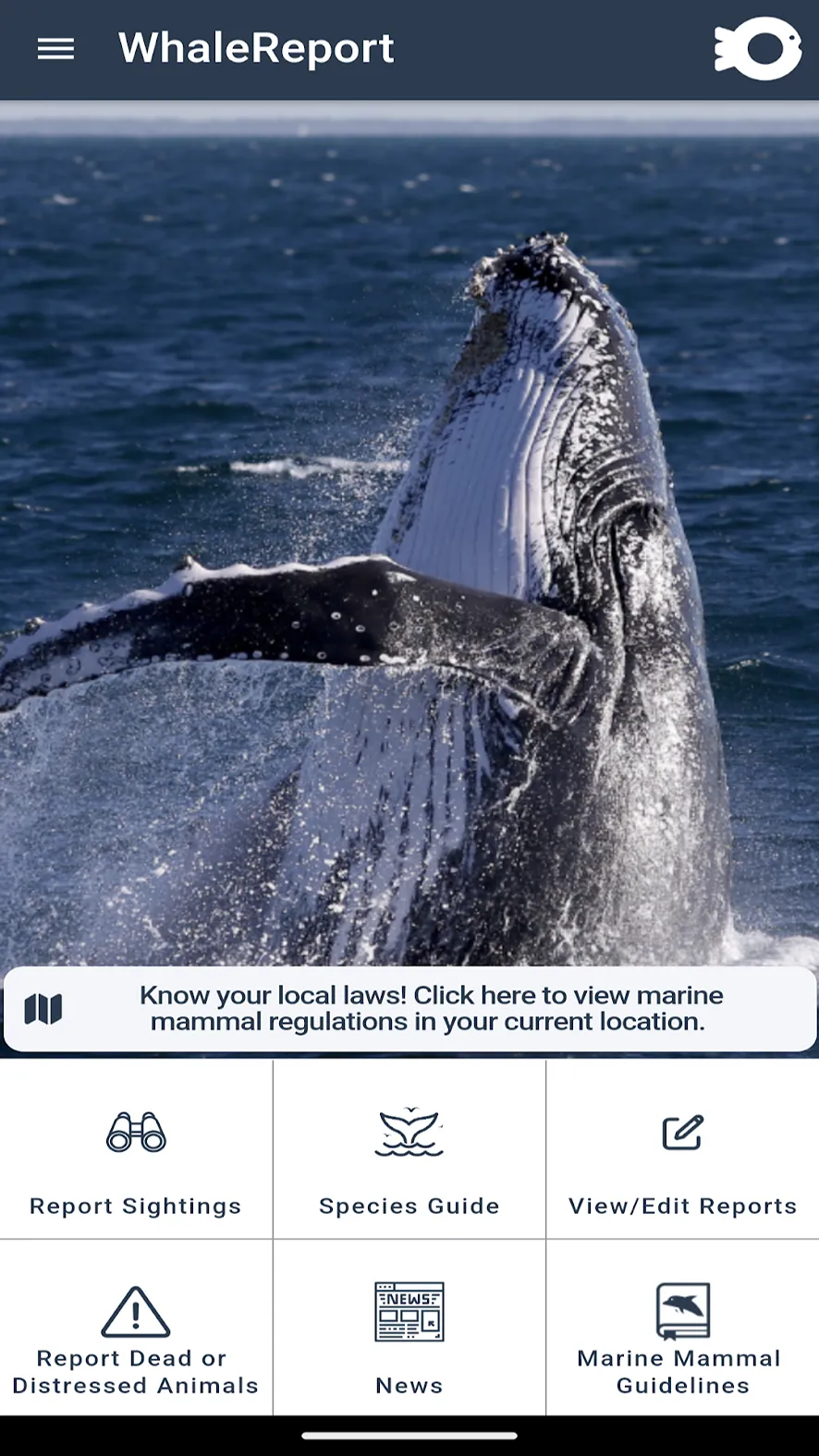 WhaleReport | Indus Appstore | Screenshot