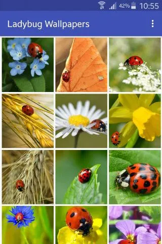 Ladybug Wallpapers | Indus Appstore | Screenshot