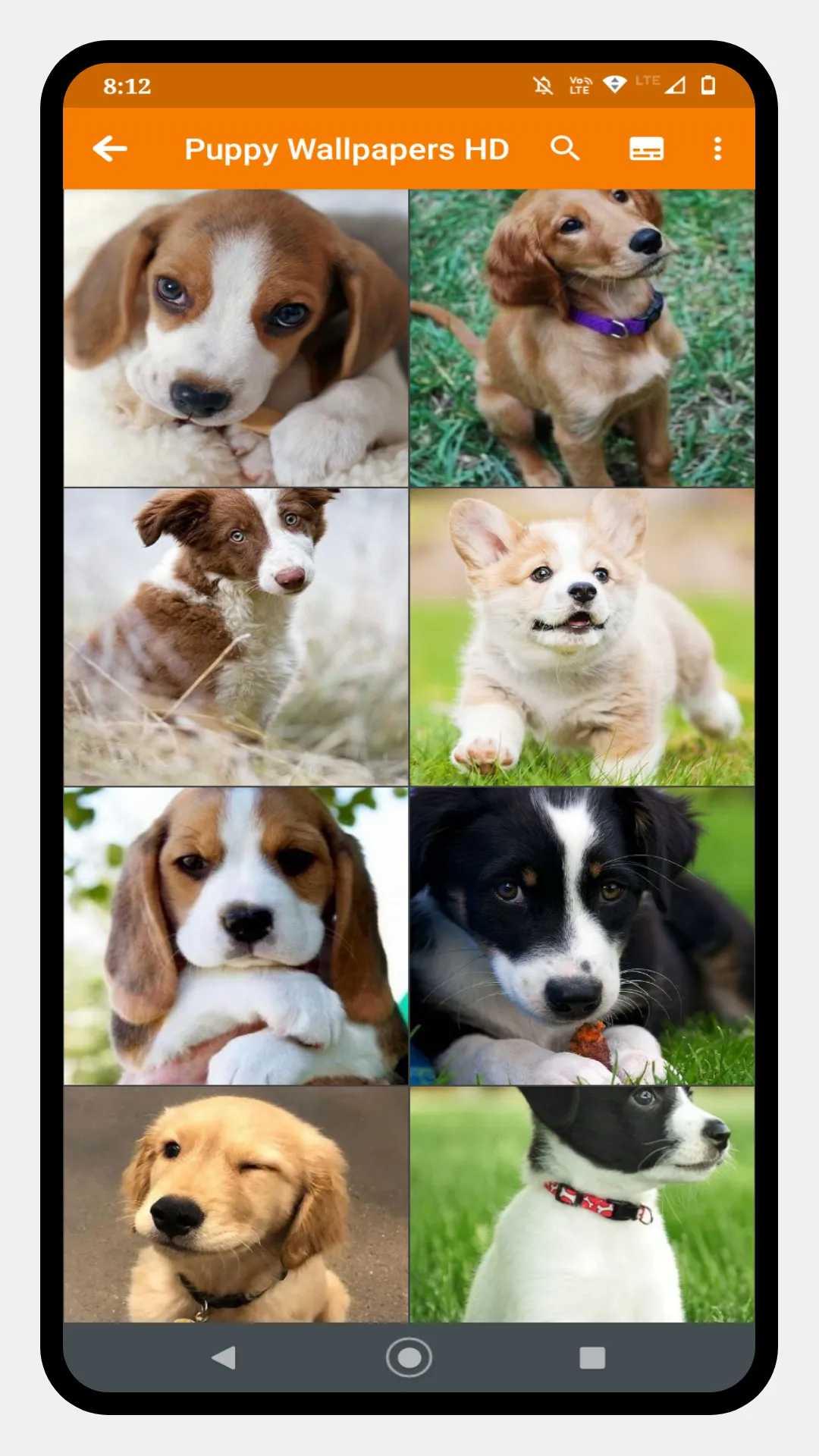 Cute Puppy Wallpaper | Indus Appstore | Screenshot