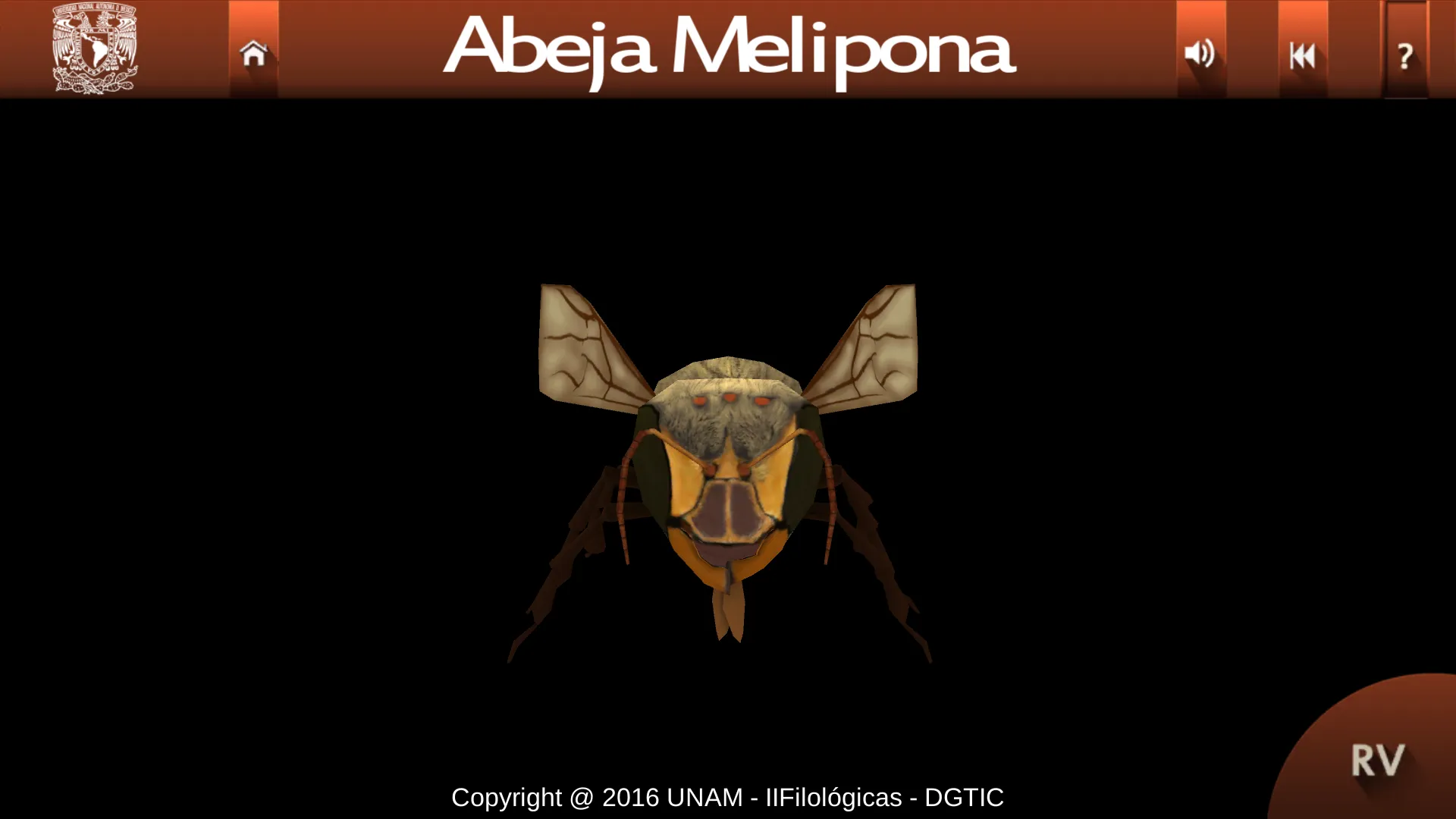 Abejas mayas | Indus Appstore | Screenshot