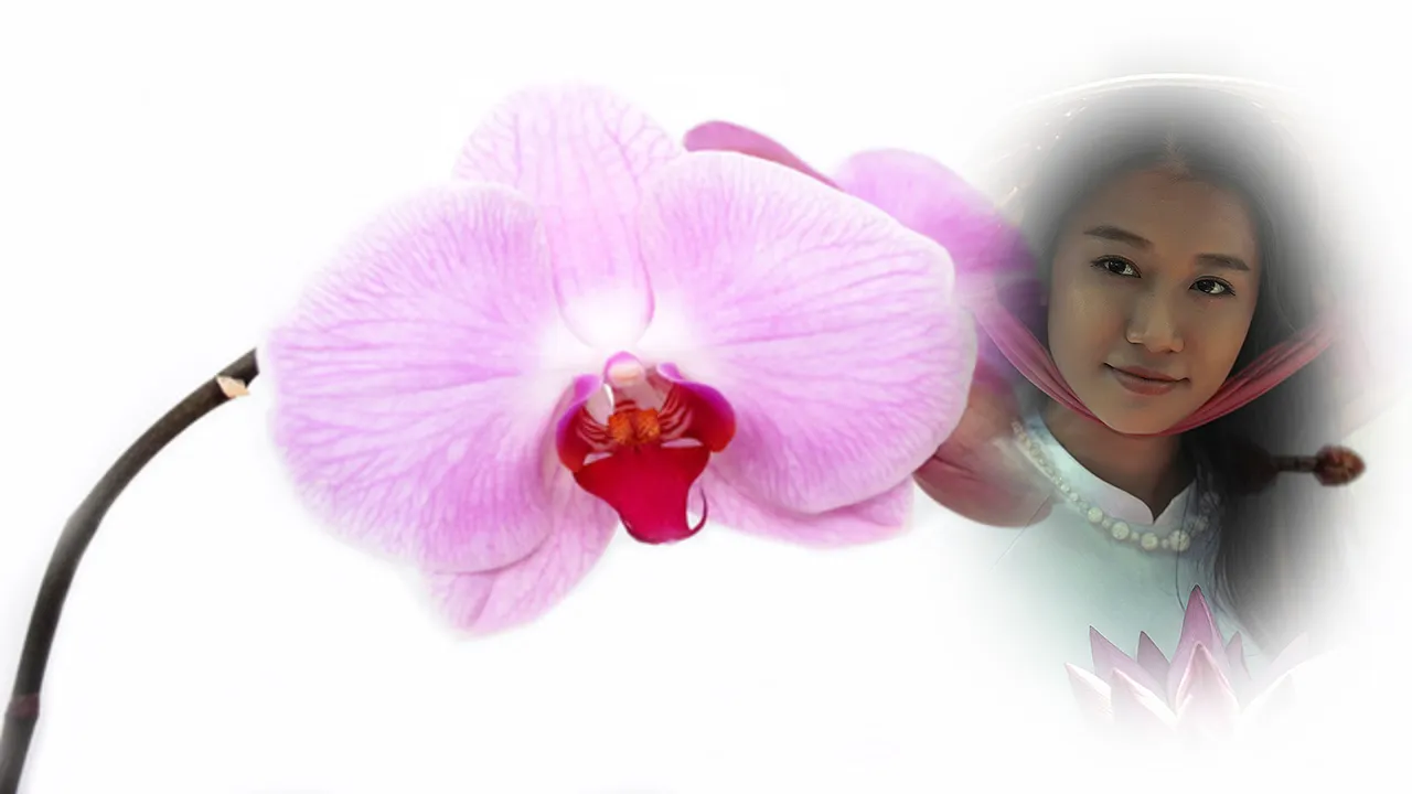 orchid photo frames costume mo | Indus Appstore | Screenshot