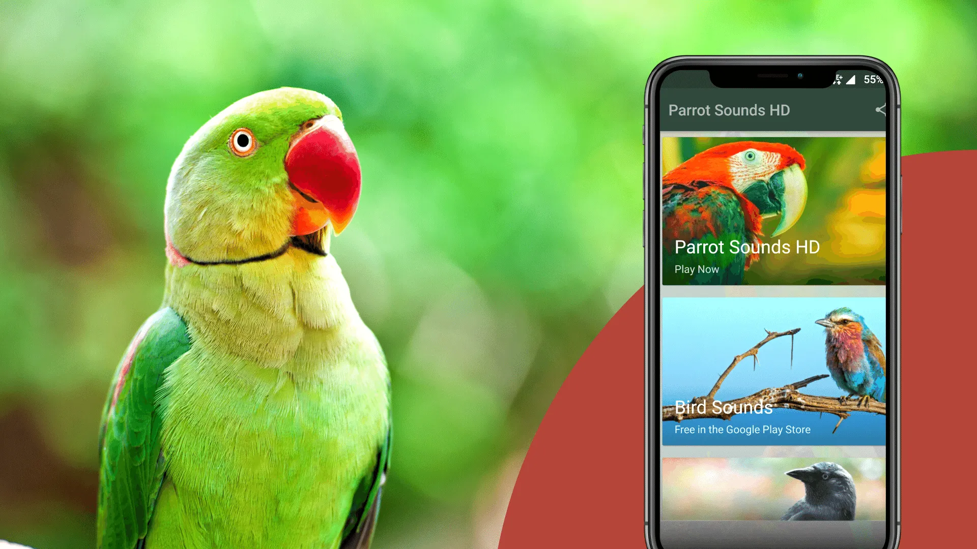 Parrot Sounds | Indus Appstore | Screenshot