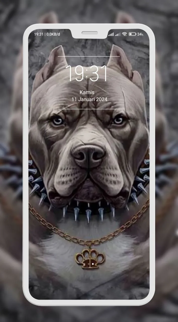 Pitbull Wallpaper | Indus Appstore | Screenshot