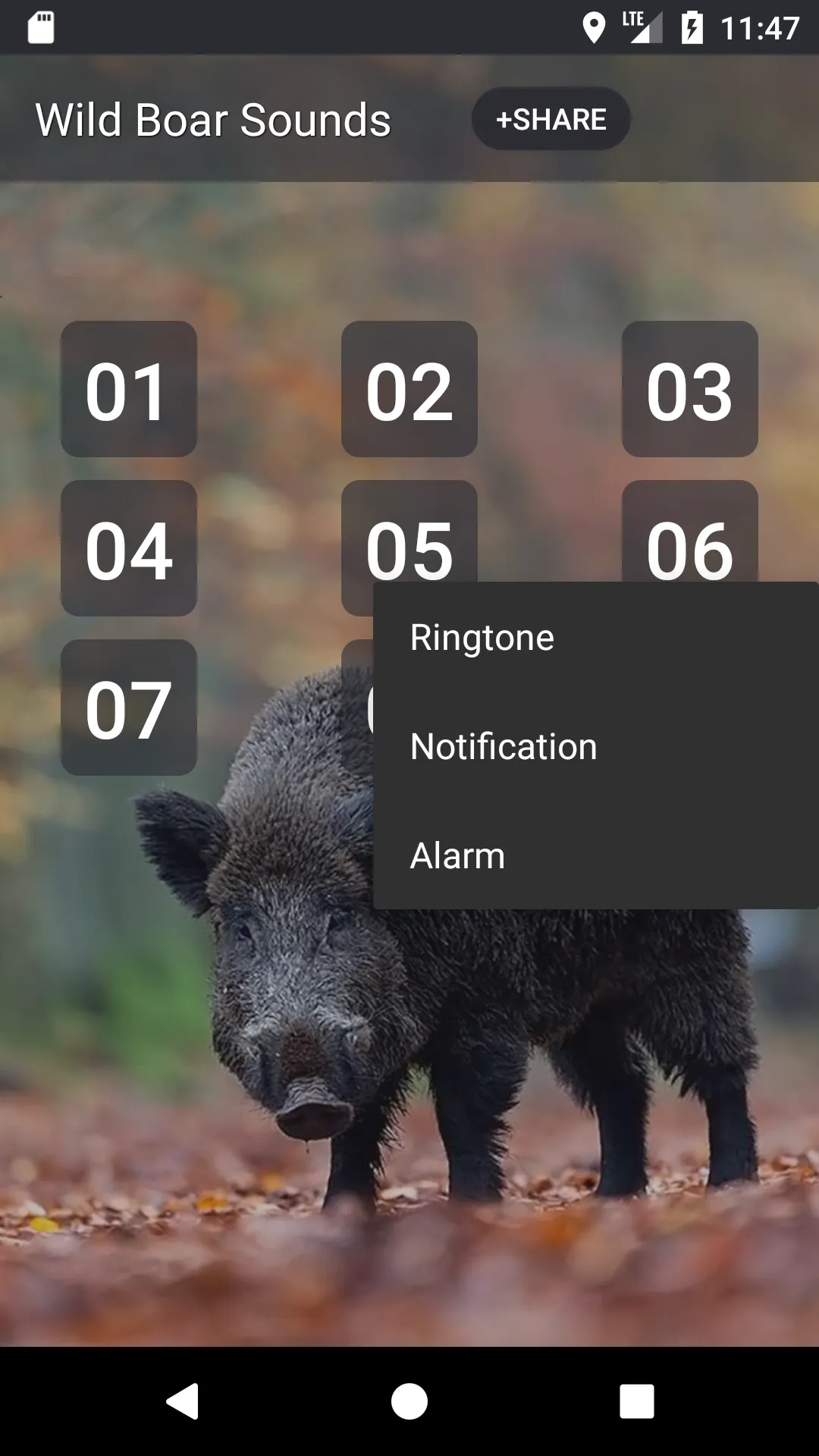 Wild boar Soundboard | Indus Appstore | Screenshot