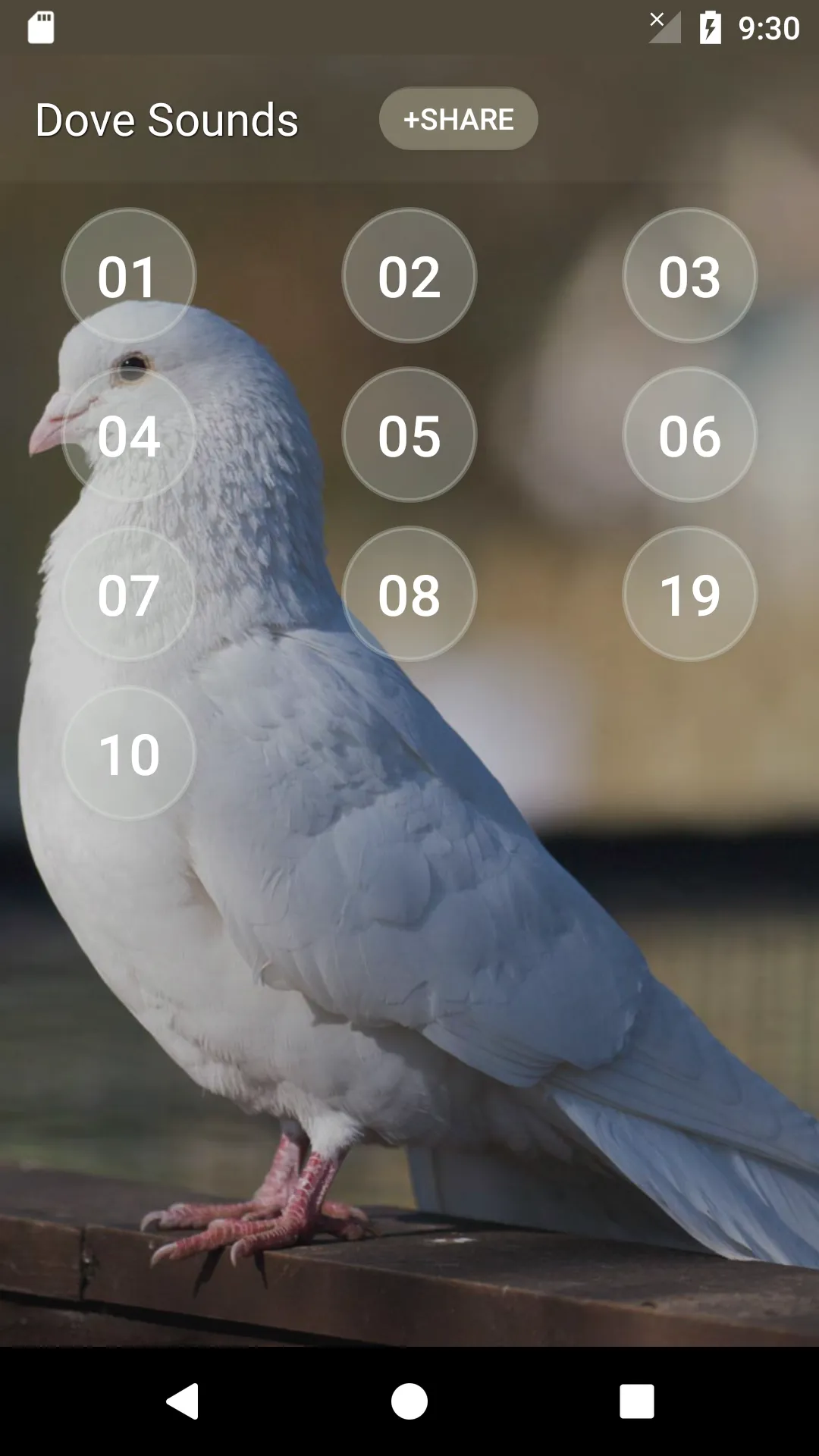 Dove soundboard | Indus Appstore | Screenshot