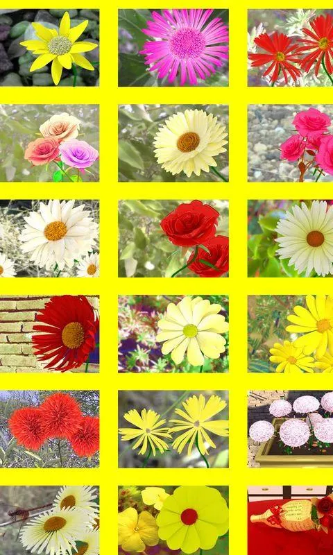 Flowers to You | Indus Appstore | Screenshot