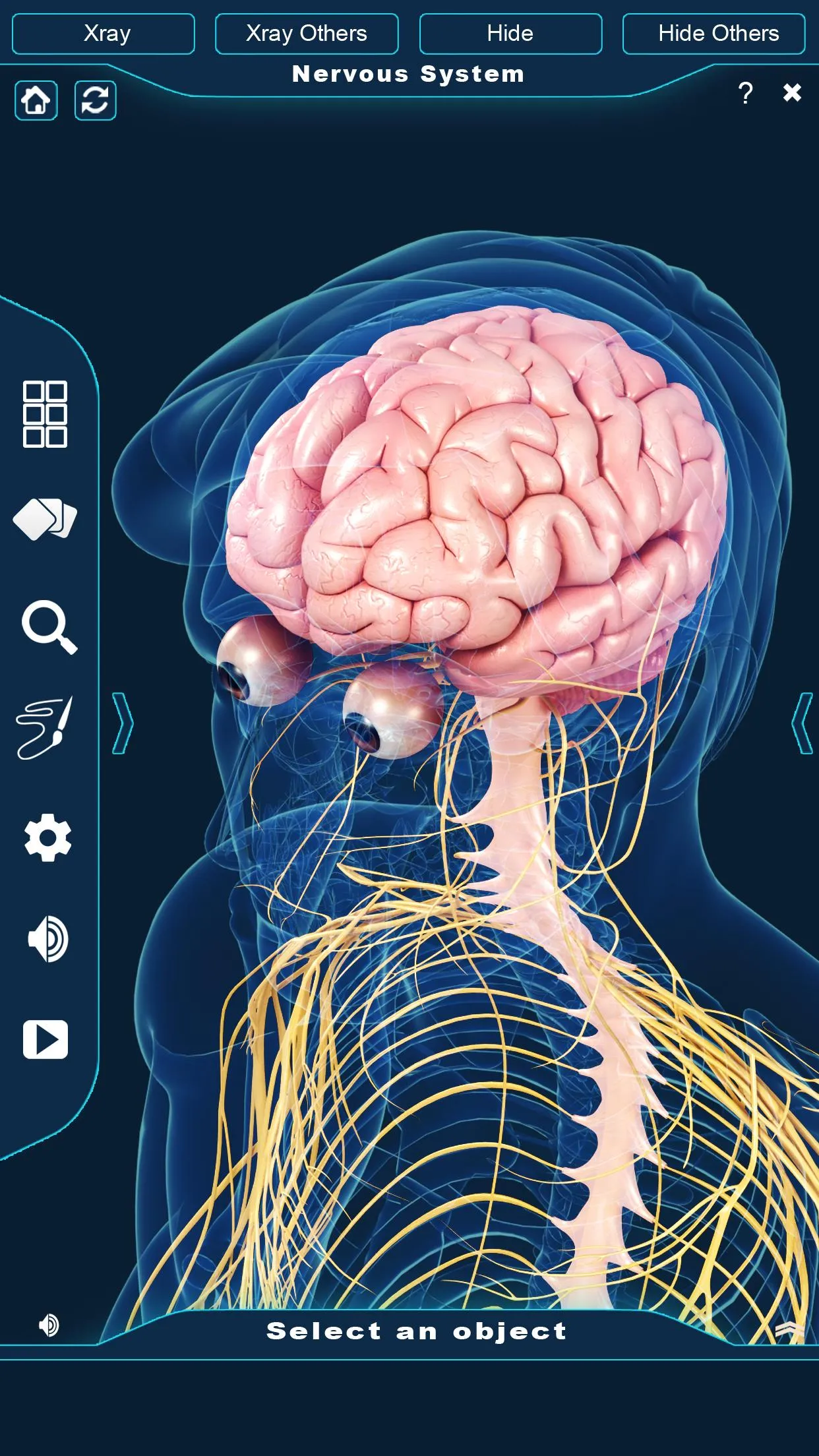 Nervous System Anatomy Pro. | Indus Appstore | Screenshot